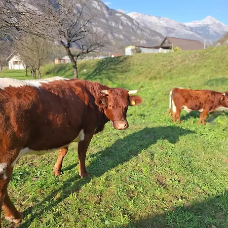 Luna Bed & Breakfast *