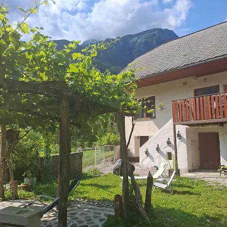 Bed & Breakfast Luna *