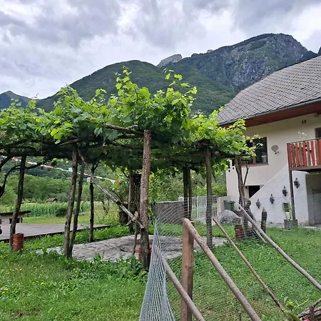 Luna Bed & Breakfast